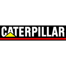 Caterpillar